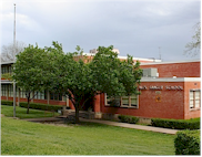 Schools – FOREST HILLS DALLAS